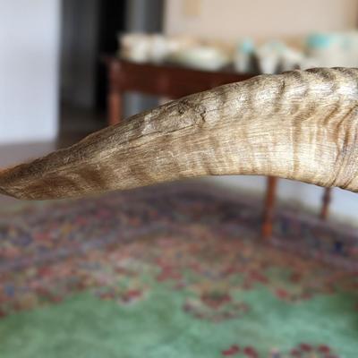Brad Finch, Eagle River, Wi, Sheep Horn Carvings. "In Mystic Pass"