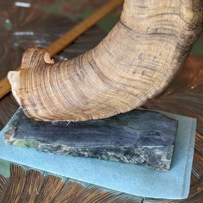 Brad Finch, Eagle River, Wi, Sheep Horn Carvings. "In Mystic Pass"