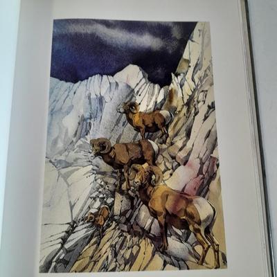 Two hard back books of Bev Dolittle