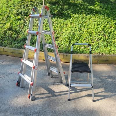 Little Giant Ladder and a Step Ladder (G-DW)
