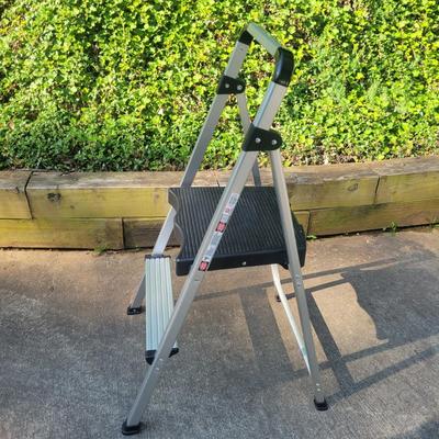 Little Giant Ladder and a Step Ladder (G-DW)