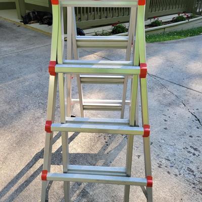 Little Giant Ladder and a Step Ladder (G-DW)