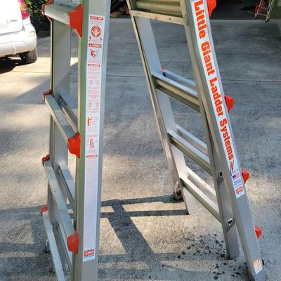 Little Giant Ladder and a Step Ladder (G-DW)