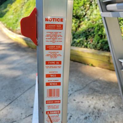 Little Giant Ladder and a Step Ladder (G-DW)