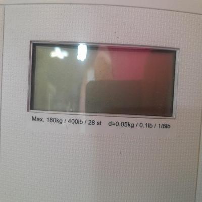 Bath pigs, health o meter digital scale and other Bath decor and needs