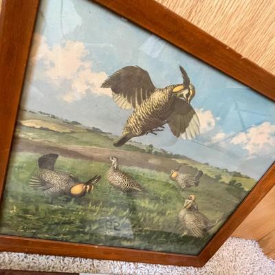 Framed Prints