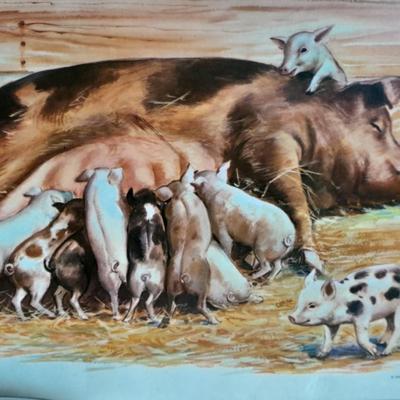 The Tru Temp thermometer with pigs and a 1966 DCC PUBL. CO. Pig print