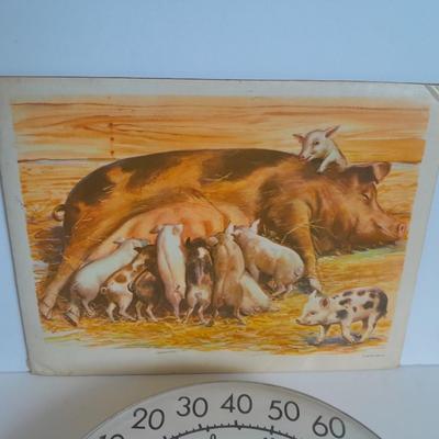 The Tru Temp thermometer with pigs and a 1966 DCC PUBL. CO. Pig print