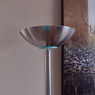 Brush Nickel Finish Contemporary Floor Lamp