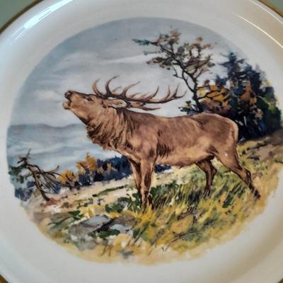 Two Classic Heritage Green collector's plates, Elk and Boar with framed wall art