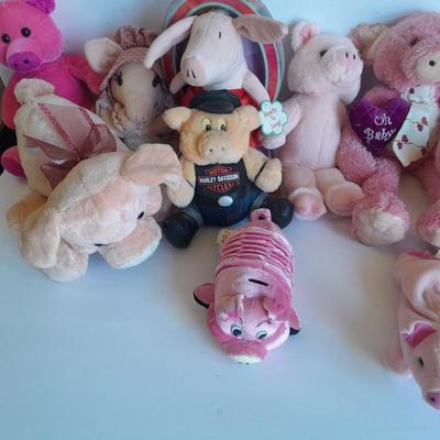 Plush pig collection
