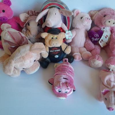 Plush pig collection