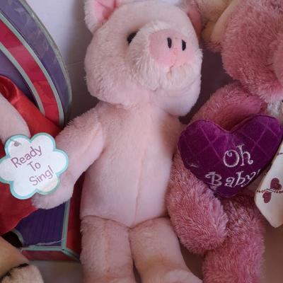 Plush pig collection