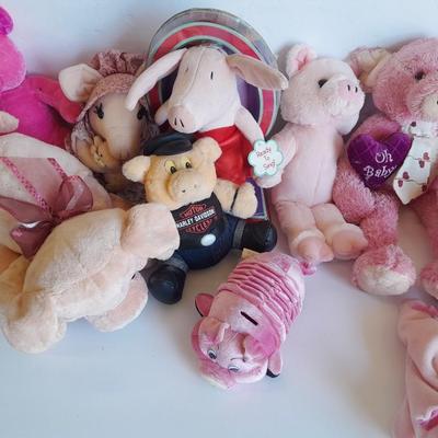 Plush pig collection