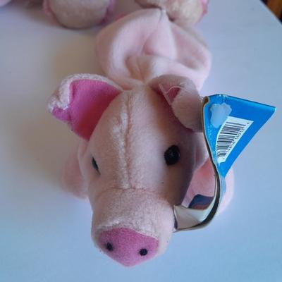 Plush pig collection