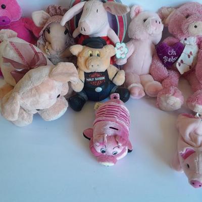 Plush pig collection