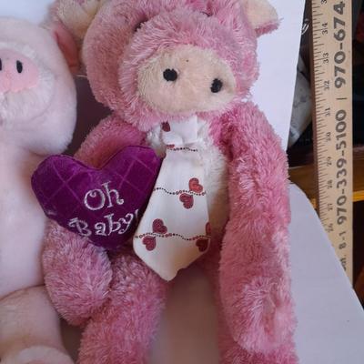 Plush pig collection