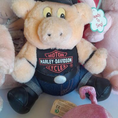 Plush pig collection