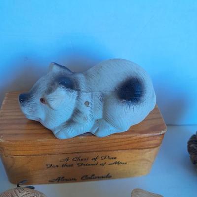 Pigs with a pine ring box xxx pig