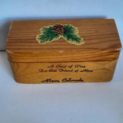 Pigs with a pine ring box xxx pig