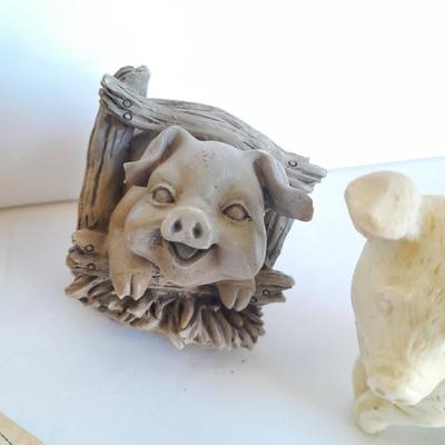 Pigs with a pine ring box xxx pig