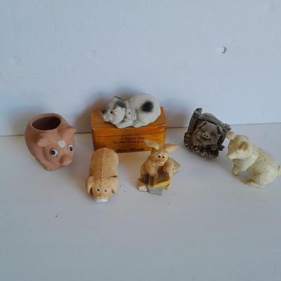 Pigs with a pine ring box xxx pig