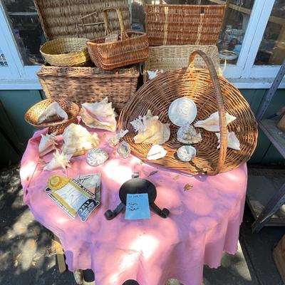 Shells and basket