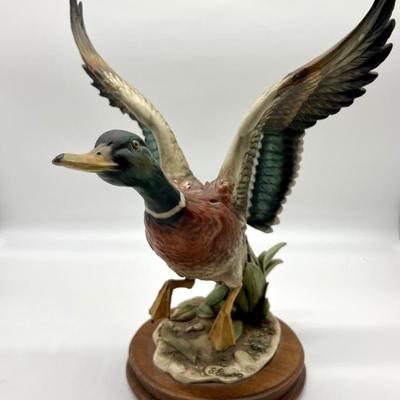 GIUSEPPE ARMANI FLYING MALLARD