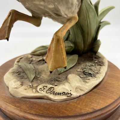 GIUSEPPE ARMANI FLYING MALLARD