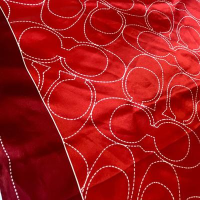 Red Coach Scarf