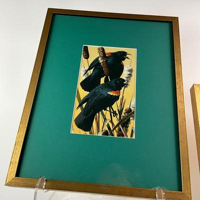 908 Pair of Bird Prints by Carl Brenders
