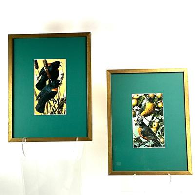 908 Pair of Bird Prints by Carl Brenders