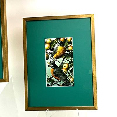 908 Pair of Bird Prints by Carl Brenders