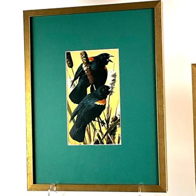 908 Pair of Bird Prints by Carl Brenders