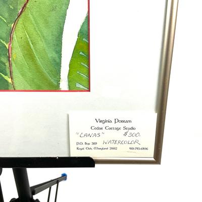 921 Original "Canas" Watercolor by Virginia Perram