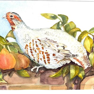 926 Original "Guinea" Watercolor by Virginia Perram