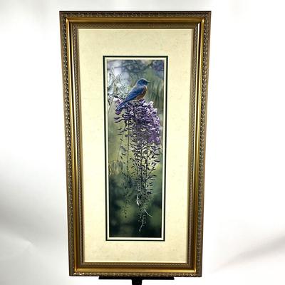 927 TerryIsaac Blue Bird Wysteria Framed Print