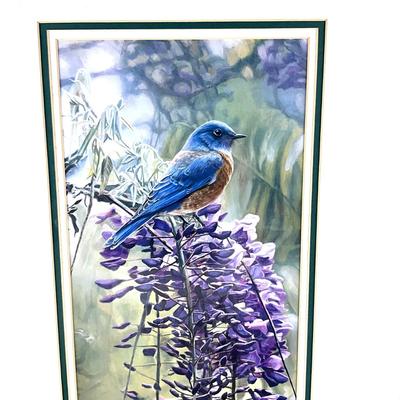 927 TerryIsaac Blue Bird Wysteria Framed Print