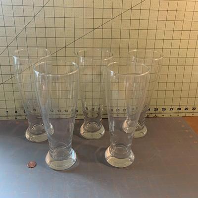 5 Beer Steins/Glassware