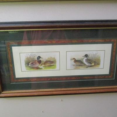 Framed Bird Art - E