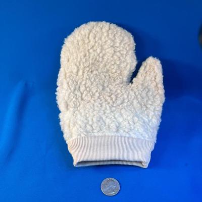 CAR WASHING MITT