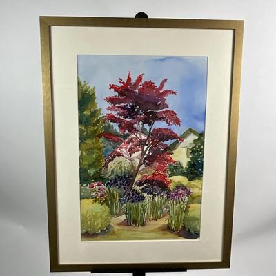 939 Original Watercolor of Red Maple Tree in Garden by Virginia Perram