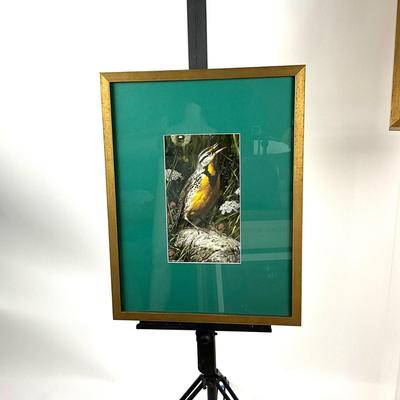 980 Pair of Carl Brenders Bird Prints Chickadee, Meadowlark