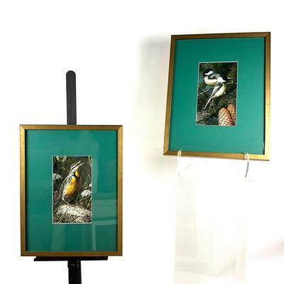 980 Pair of Carl Brenders Bird Prints Chickadee, Meadowlark