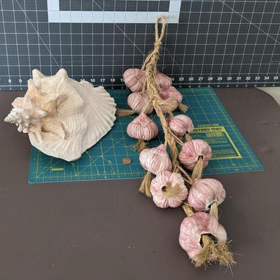 Garlic on String + Shell