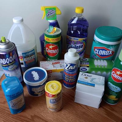 Cleaning Household Chemicals #1