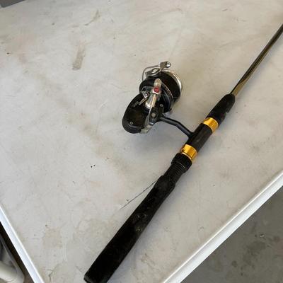 Fishing Pole #1 Apollo