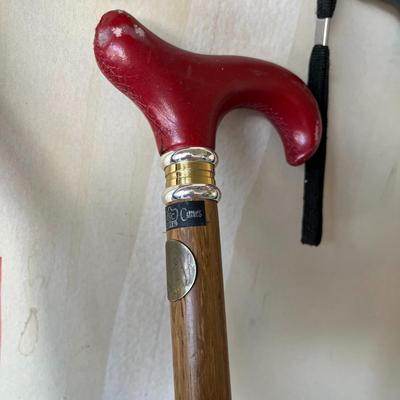 Walking Sticks & Misc.