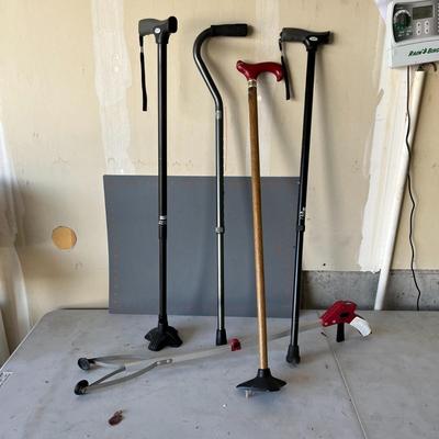 Walking Sticks & Misc.