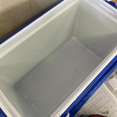 Igloo Big Blue & Coleman Green Small Ice Cooler Boxes Duo